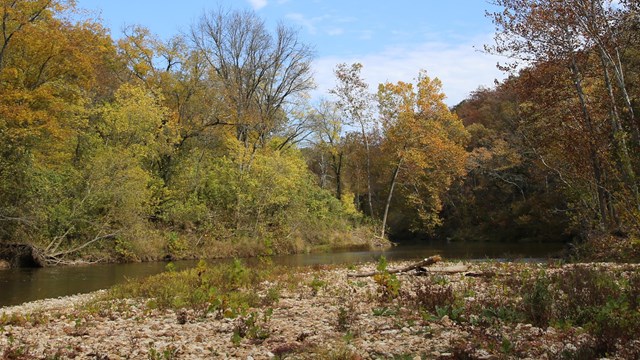 A gravel bar along a river in fall.