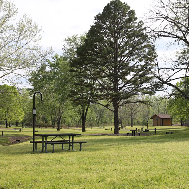 A freshly mown campground sits empty, ready for campers.