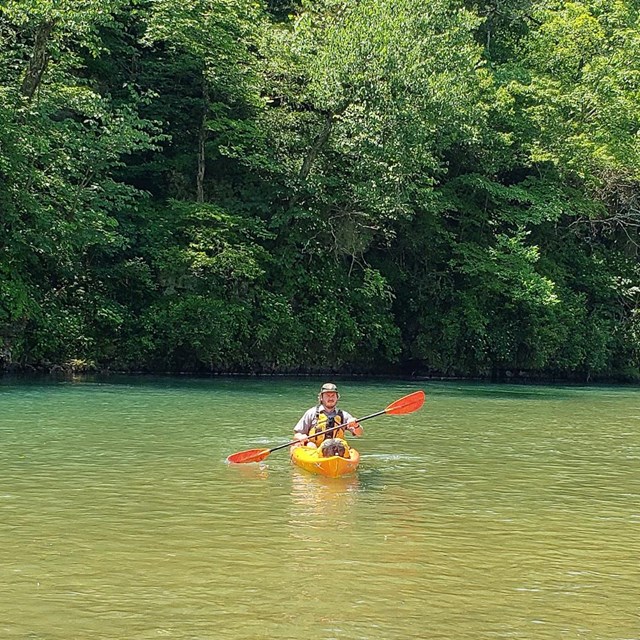 A park ranger floats in a river. Trees cover the background.