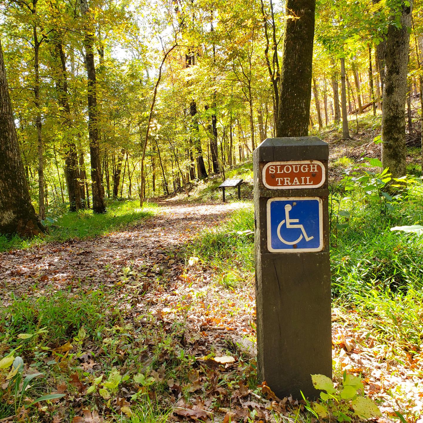 An accessible trail surrounded by fall colors.