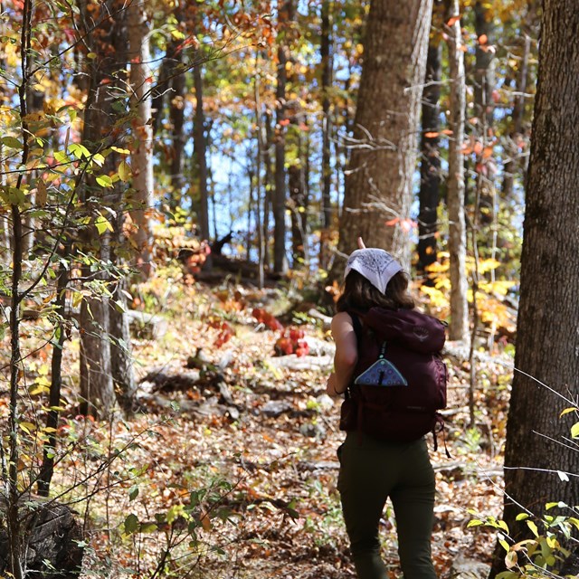 A woman walks along a wooded trail in fall.