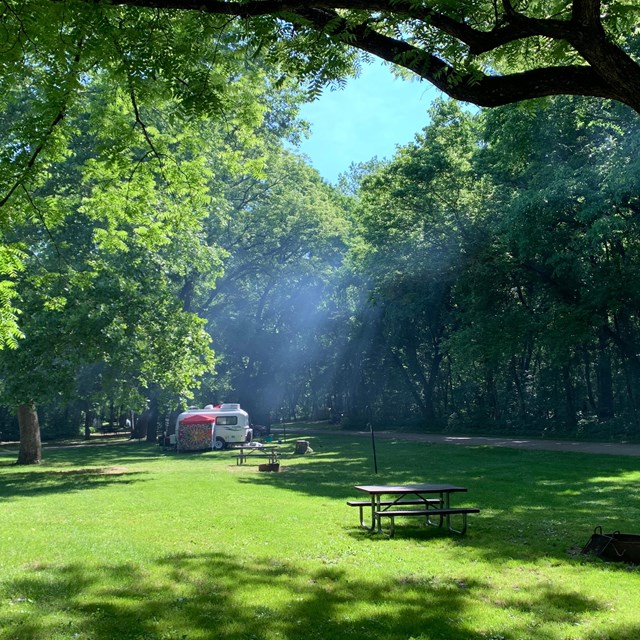 A small camper sits in a lush green field, with trees hanging overhead.