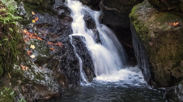 Water flows down waterfall at Mount Tam.