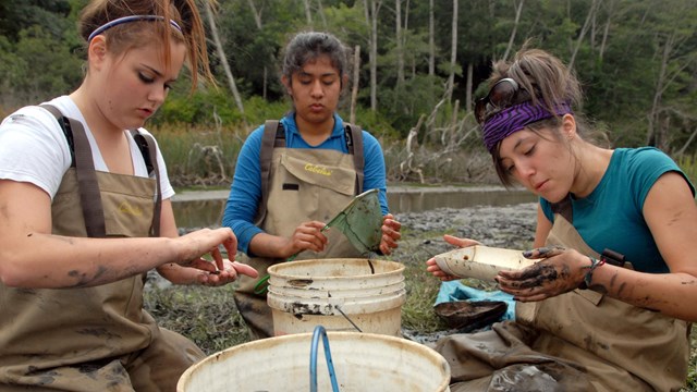 Students get their hands dirty during a wetland field study