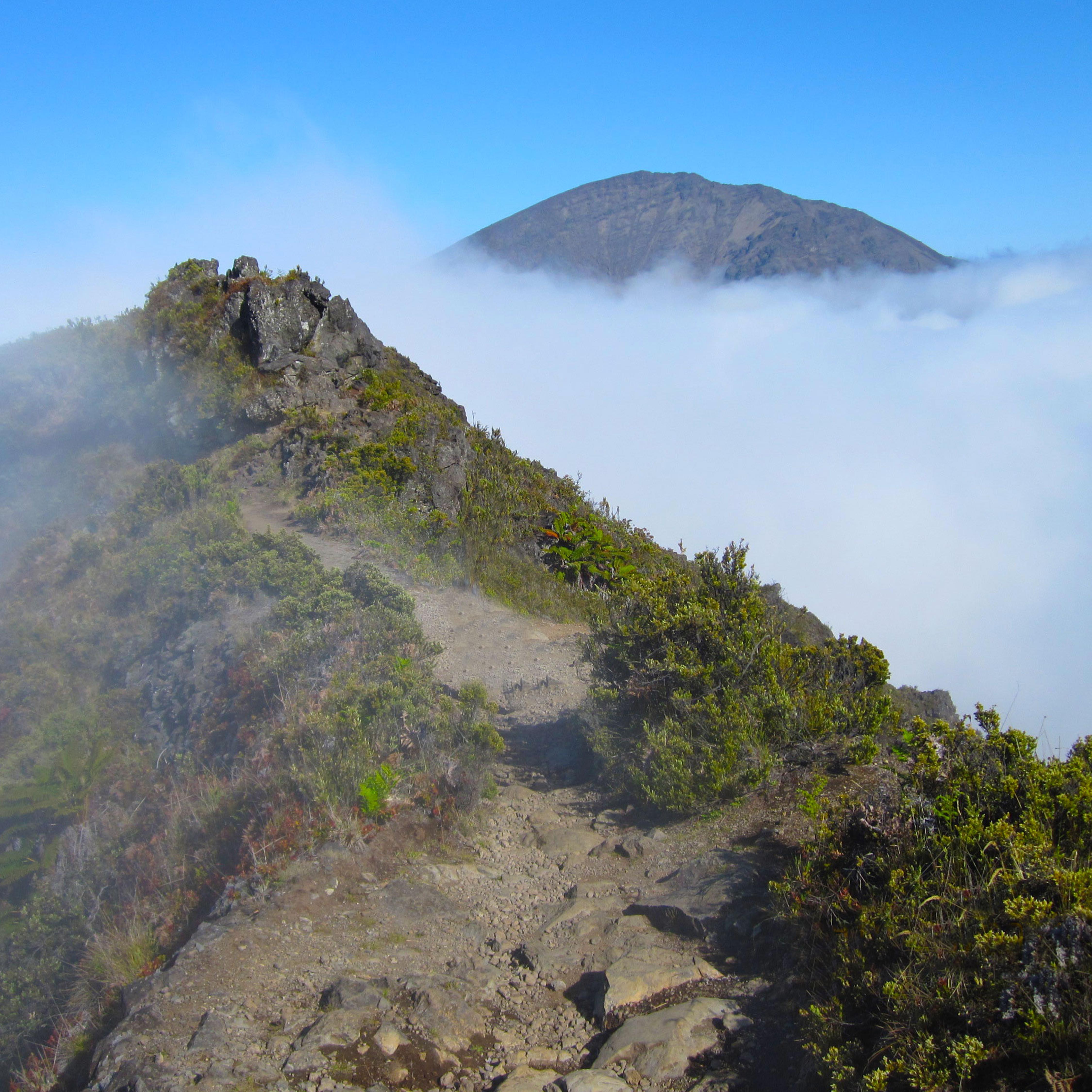 Observing alpine climate at Haleakalā National Park