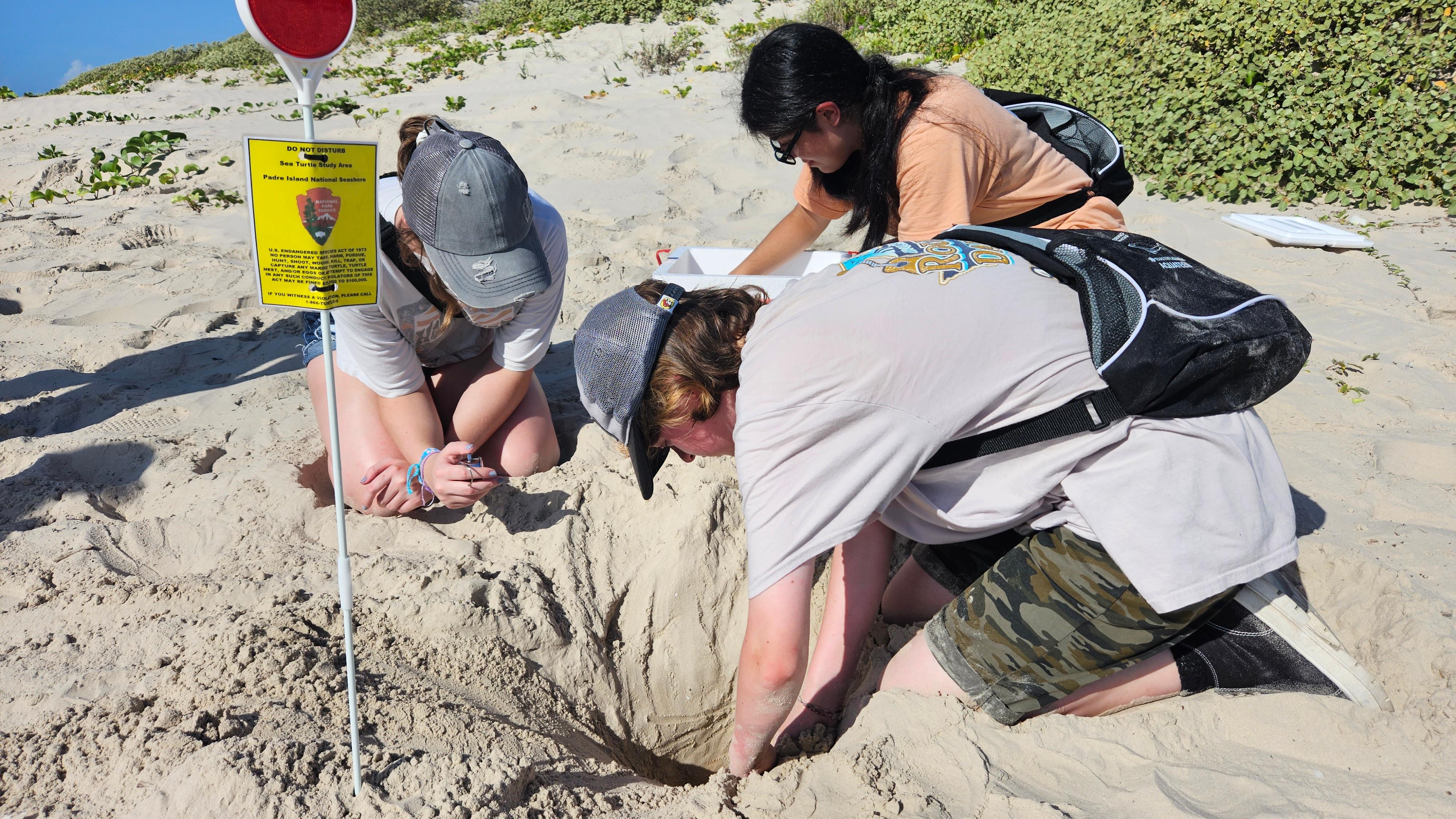 A group of students dig in the sand. 