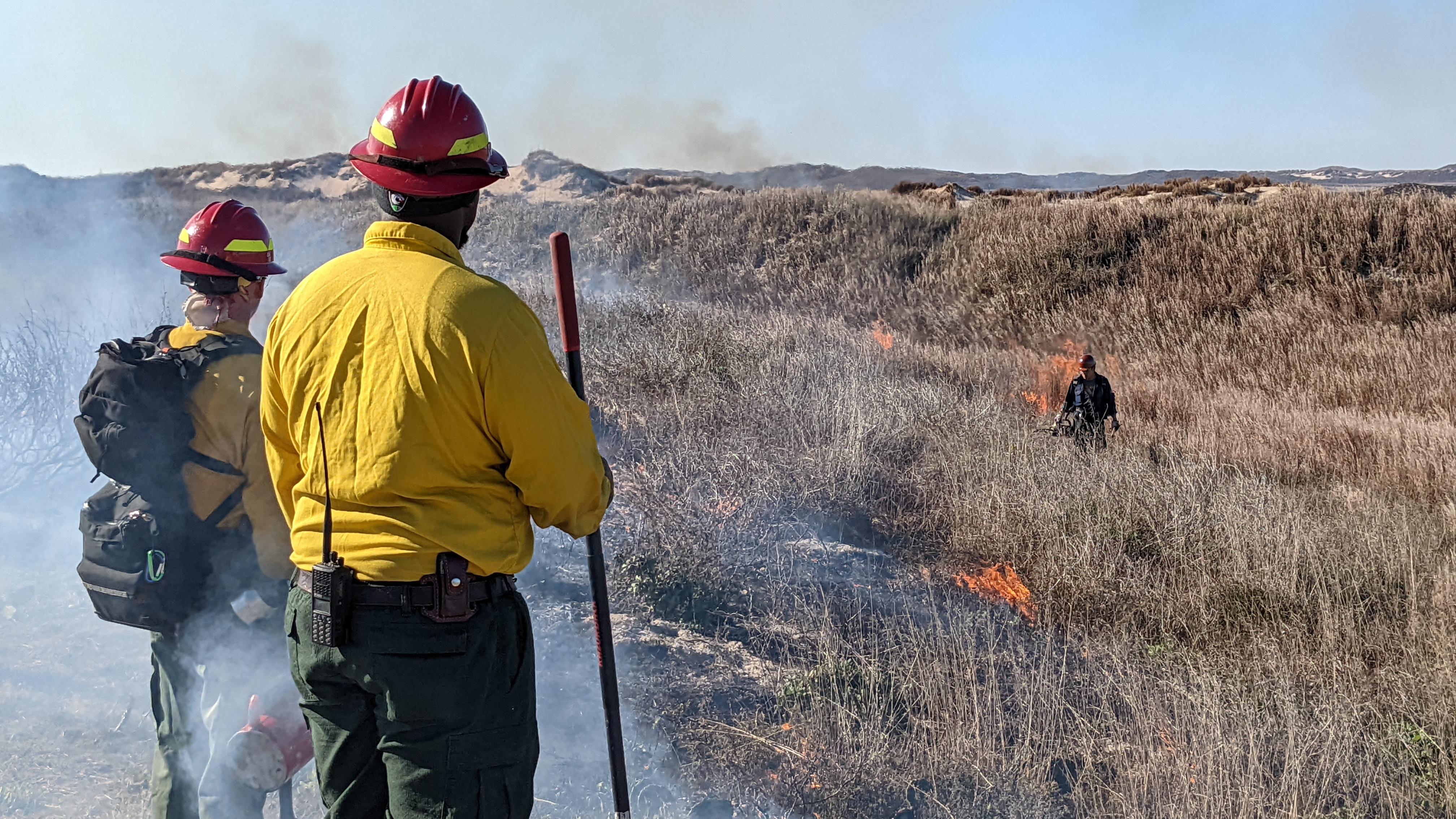 Two wildland firefighters watching a fire. 
