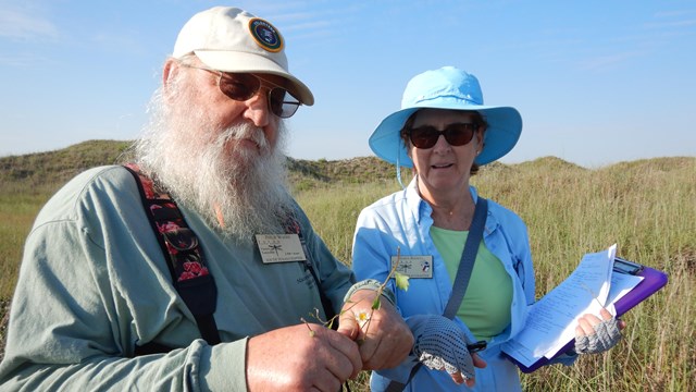 A park volunteer teaches about plants