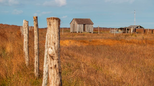 A small wooden building and fence in a grass field.