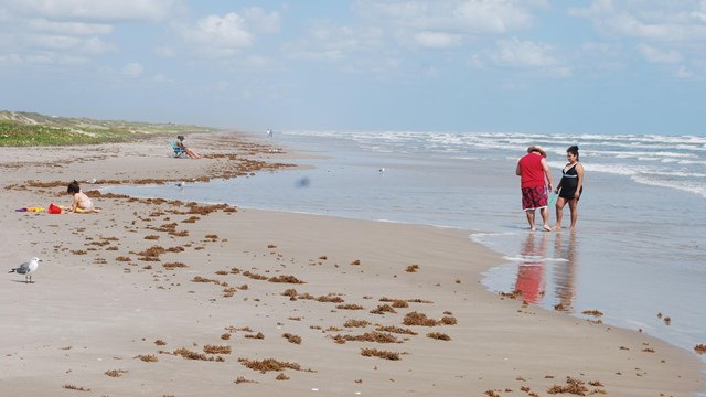 A family playing on the beach.
