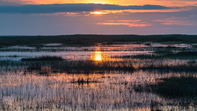 The sunset reflects off of a flooded grassland. 