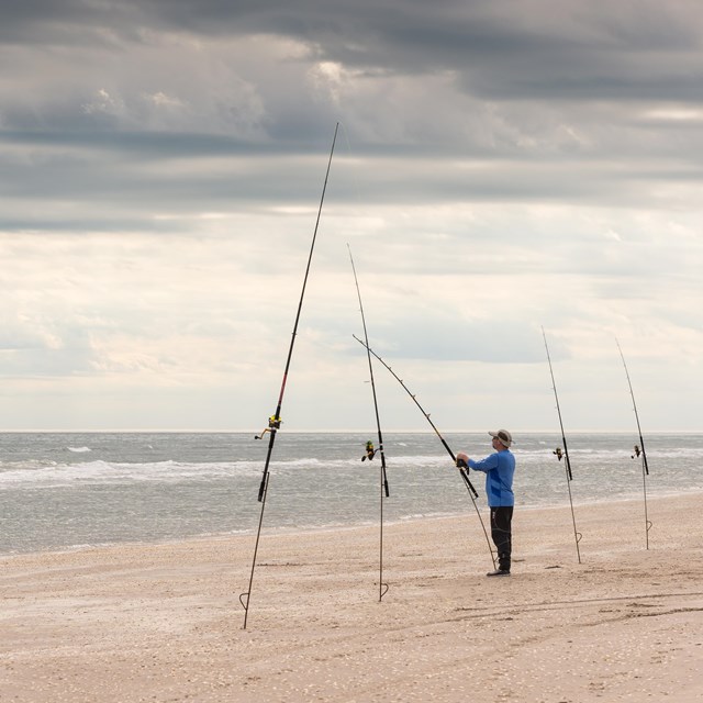 A man stands at one of several fishing poles stuck in the sand near the water on an overcast day.