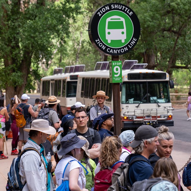 Crowd at a shuttle bus stop