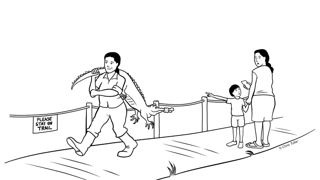 Illustration of a woman holding an alligator, watched by a woman and boy with surprised expressions.