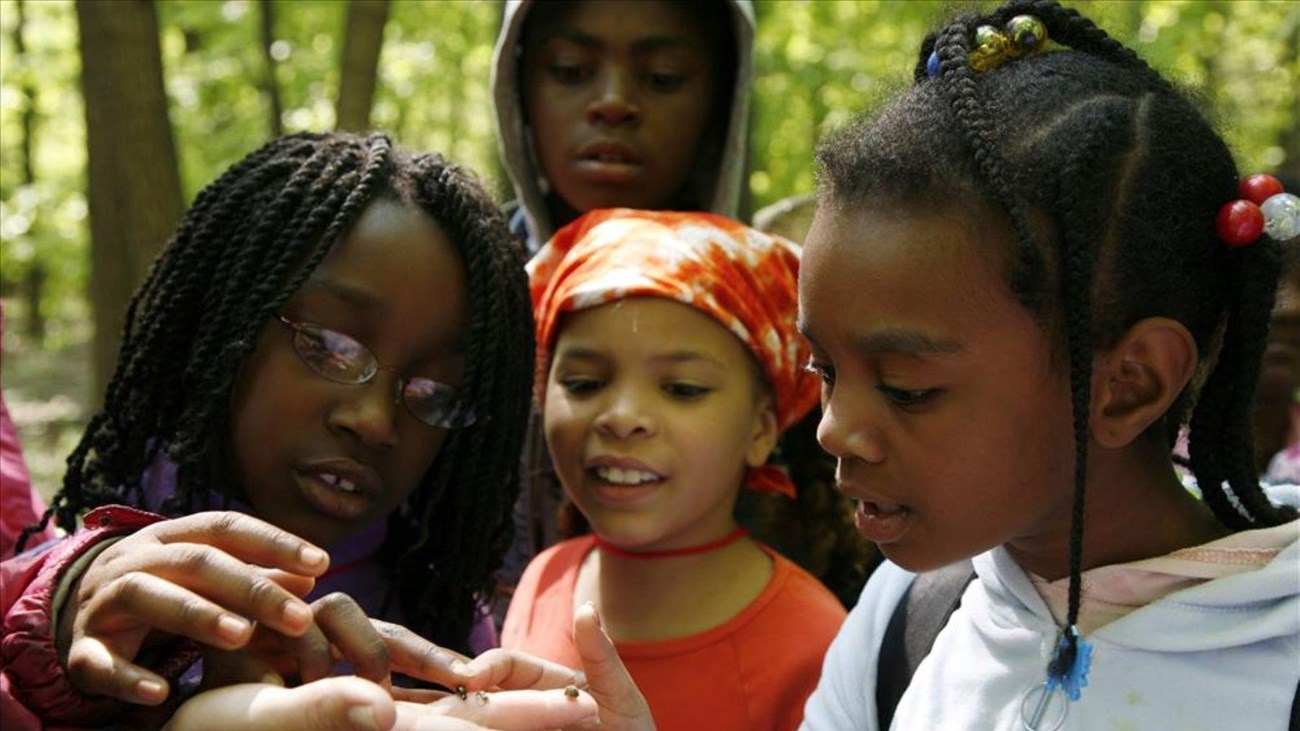 Girl Scouts at a National Park