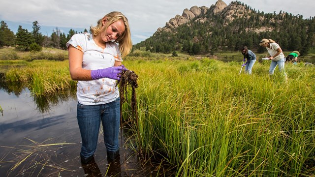 Citizen scientist sampling in Rocky Mountain National Park.
