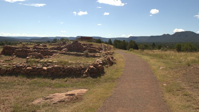 Packed dirt surface of Ancestral Sites Trail near South Pueblo