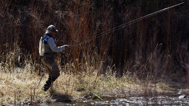 Angler fishing, standing next to the Pecos River