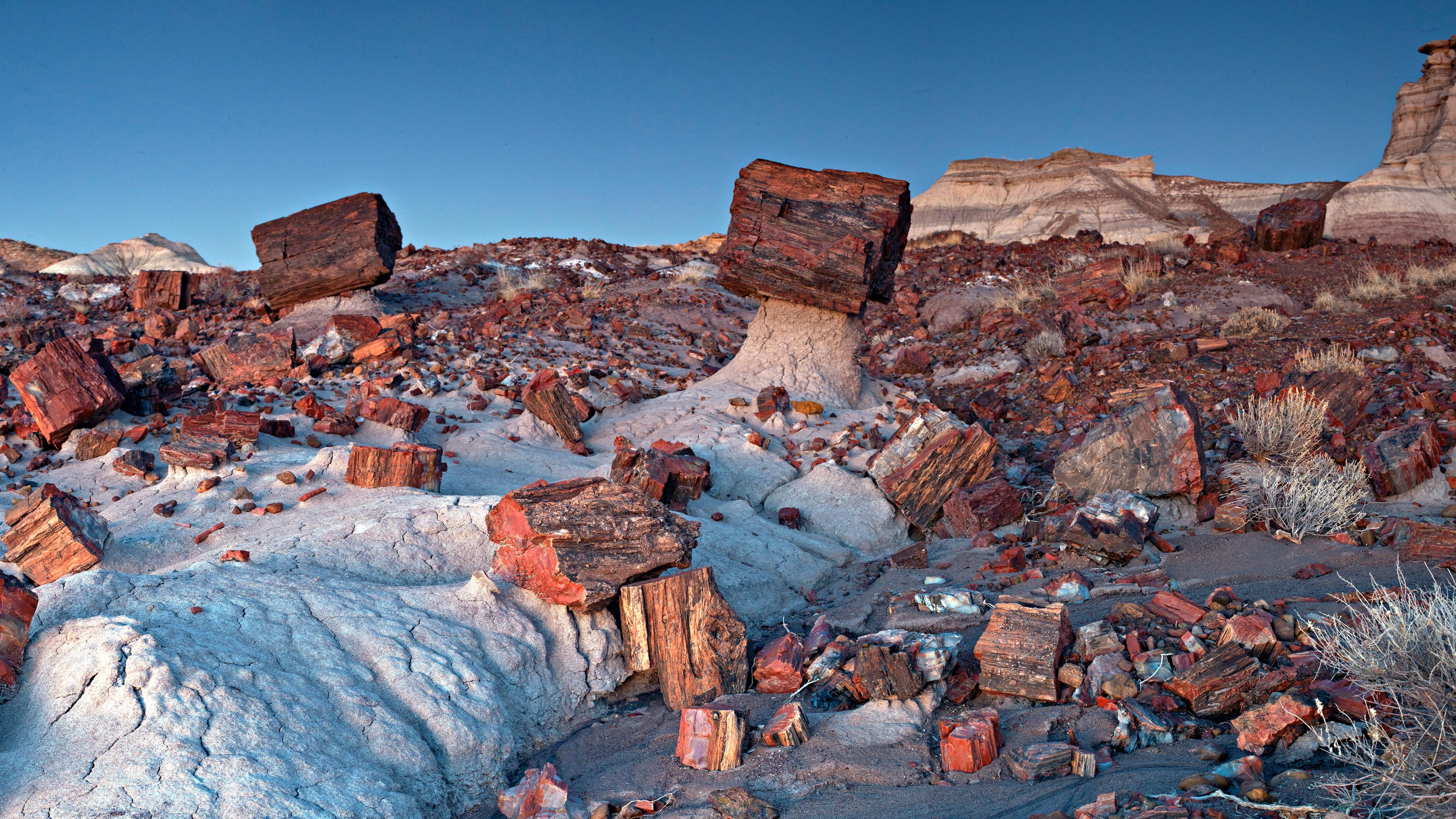a jumble of large, blocky chunks of red petrified wood underlaid by soft, white shale of badlands.