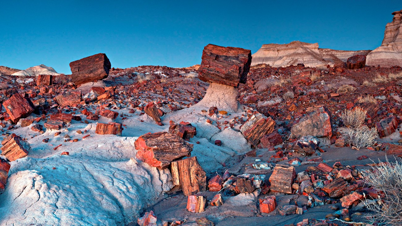 a jumble of large, blocky chunks of red petrified wood underlaid by soft, white shale of badlands.