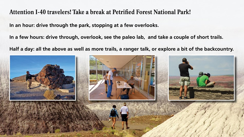 Things to do such as touring and trails with multiple images of people in the park.