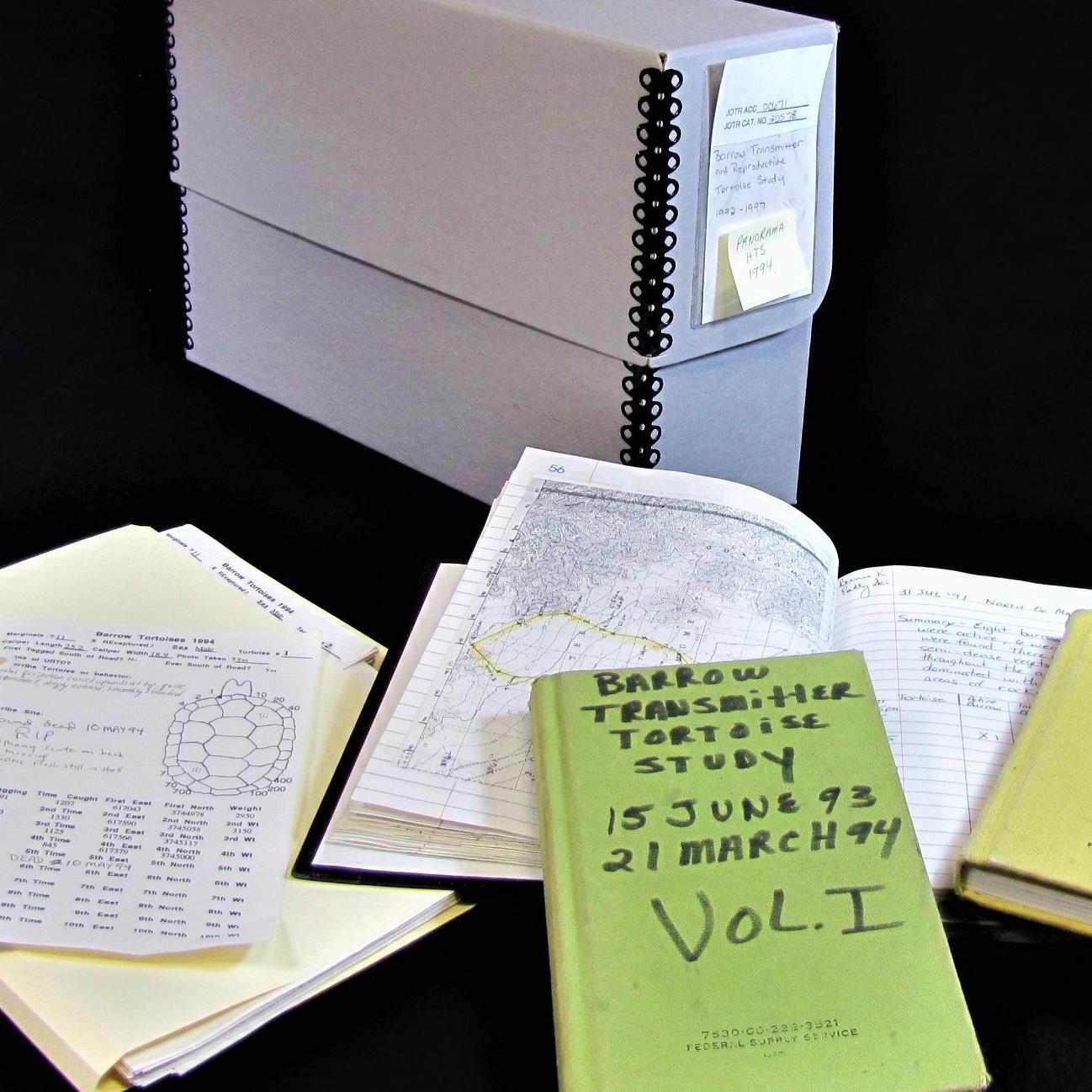Desert Tortoise Study Field Notes 