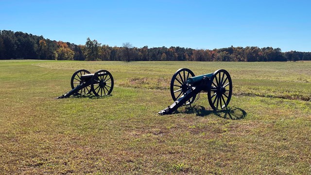Two cannons sit in a field while trees with multicolored leaves line the horizon.