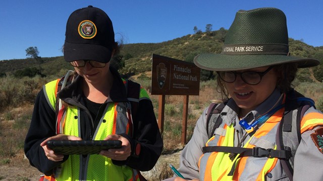 A National Park Service plant biologist and intern record data during an invasive plant survey.