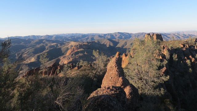 Late afternoon light on the High Peaks Trail