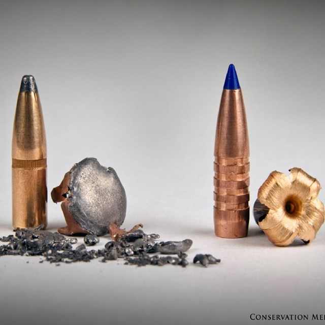 Lead vs. nonlead bullets.