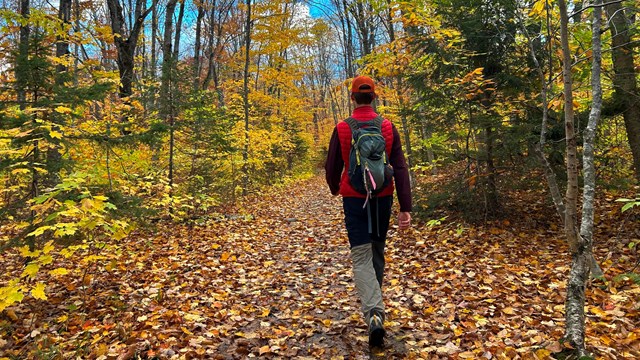 A man walks through fall foliage with a small backpack on.