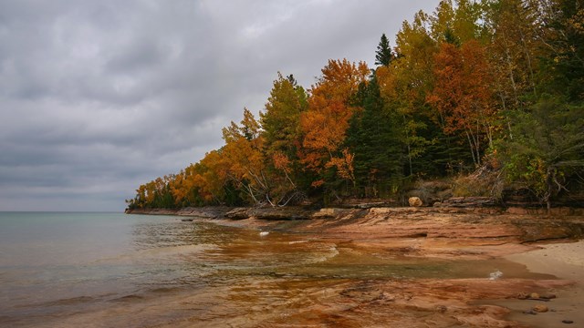 A rocky beach on a overcast autumn day