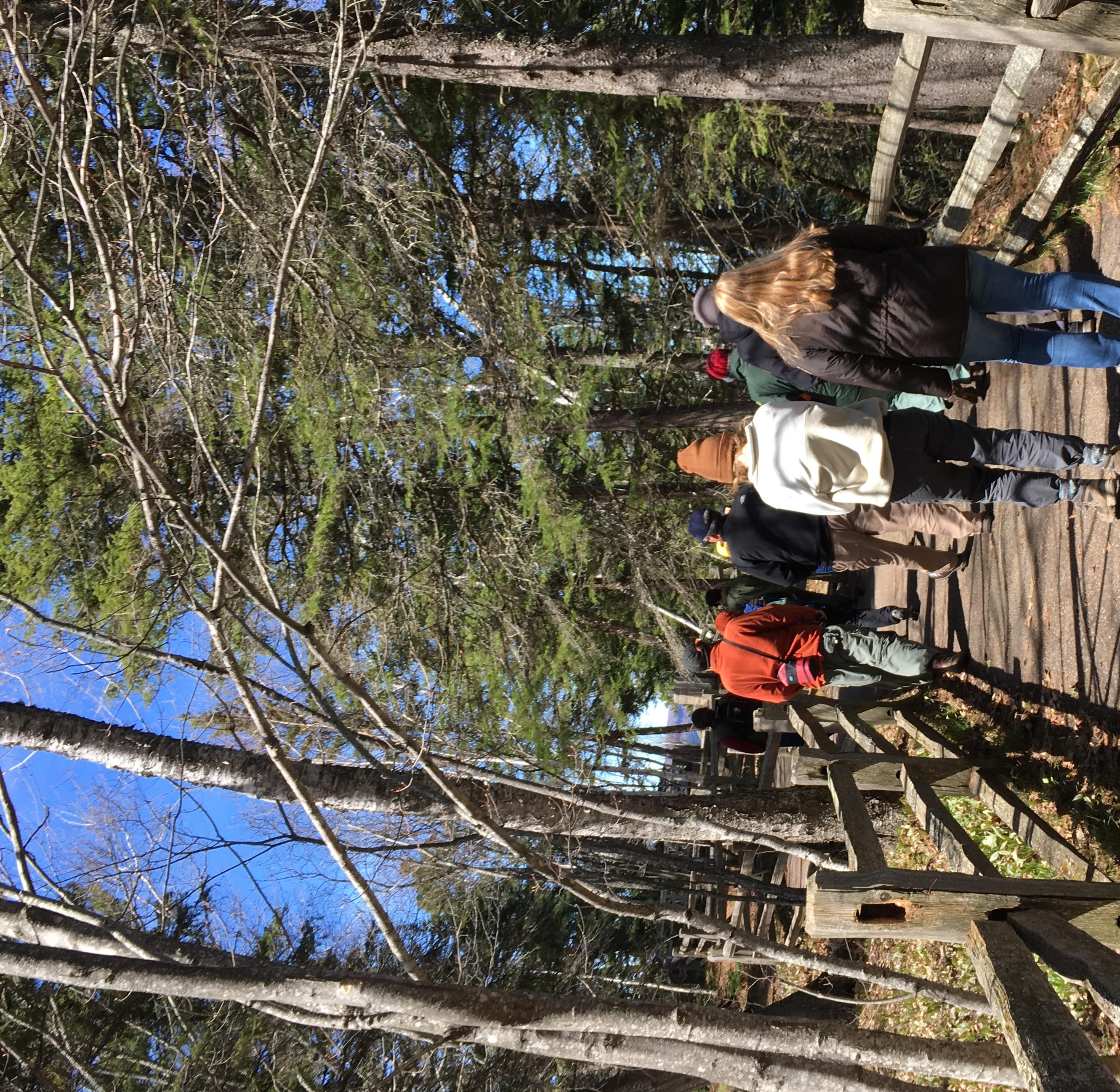 People walking on a paved trail