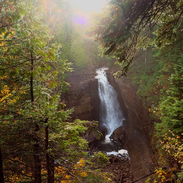A plunging waterfall surrounded by evergreens and autumn foliage