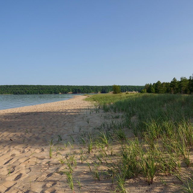 Sand Point beach on a sunny morning