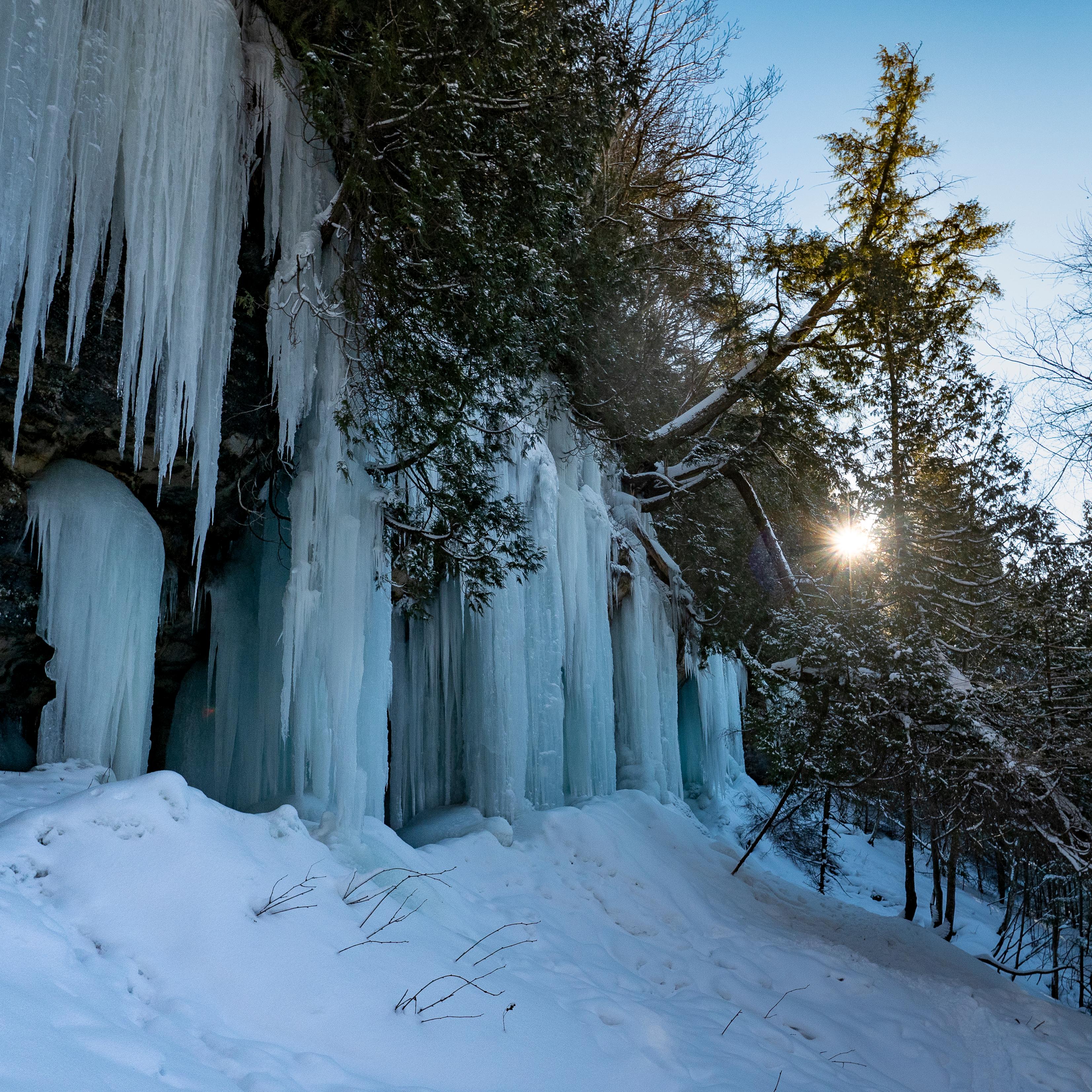 Blue ice columns seep out of a sandstone cliff on a sunny evening.