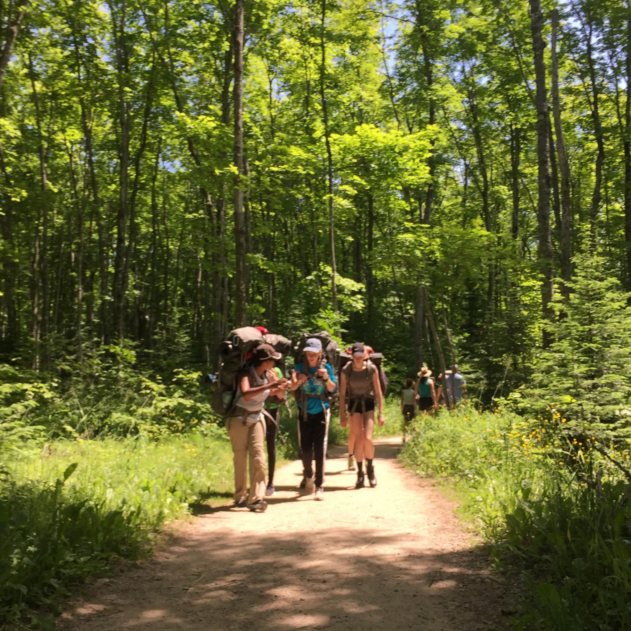 Hikers on the trail