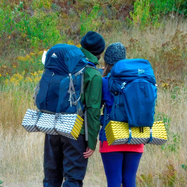 Two people wearing large packs walk away from the camera on a hiking trail.