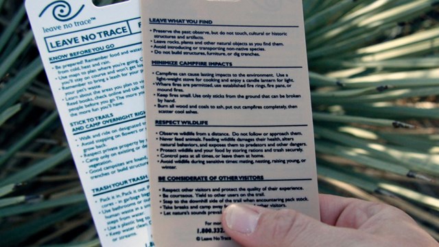 Hand holding cards listing Leave No Trace principles in front of cactus