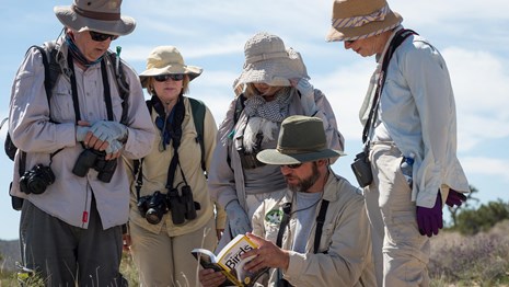 five senior birders studying a field guide
