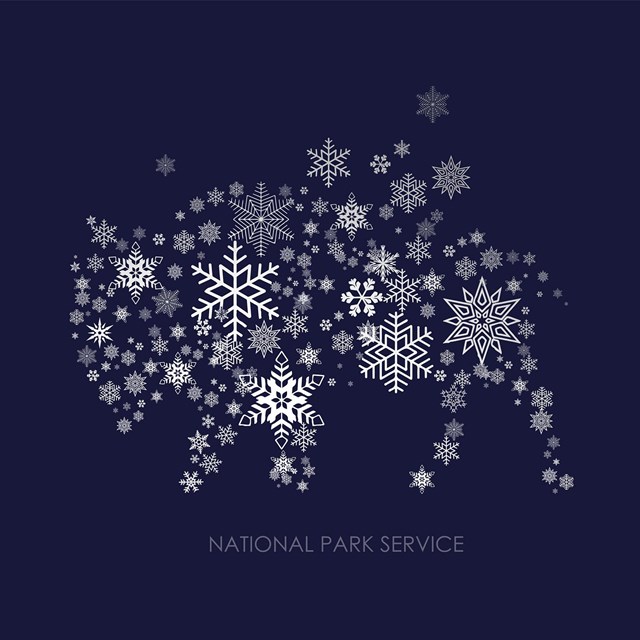 Illustration of a bison being formed by snowflakes with text reading 