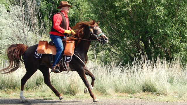 A cowboy riding a horse in a gallop.