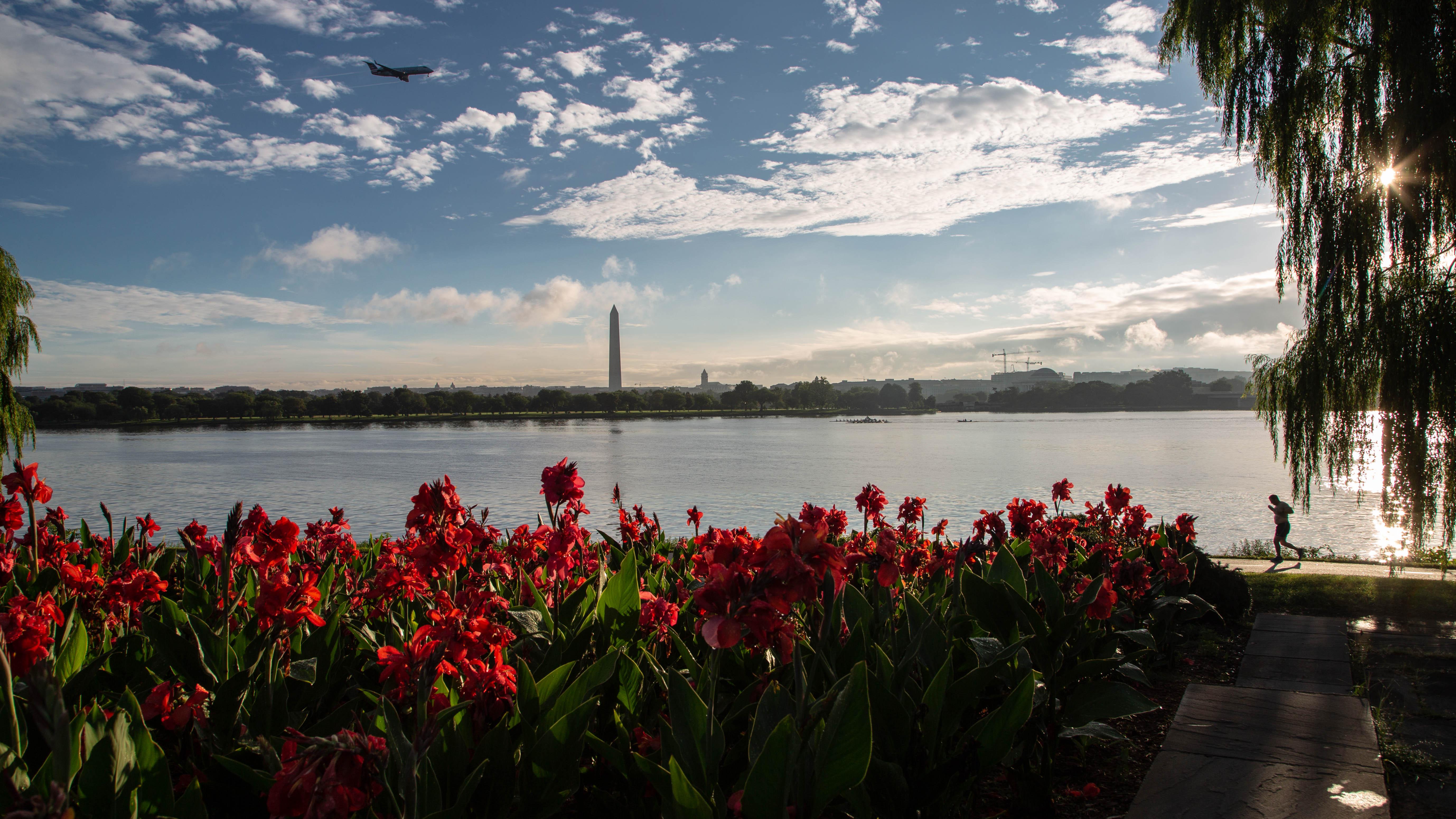 A view of the Washington Monument and Potomac River with red flowers.