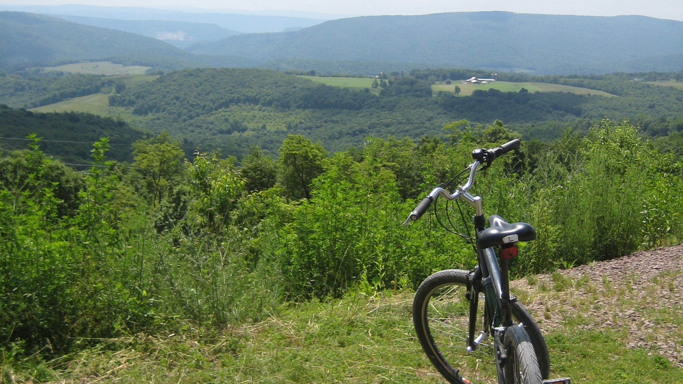 A bicycle standing overlooking a valley of rolling green hills and trees with smoky blue mountains.