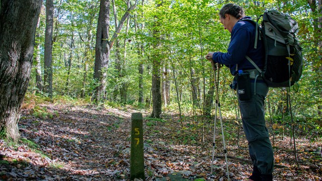 A person hiking a trail in a forest. 