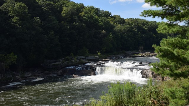 A waterfall surrounded by trees. 