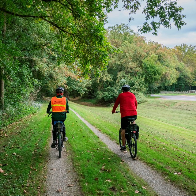 Two bicycles ride along a forested area