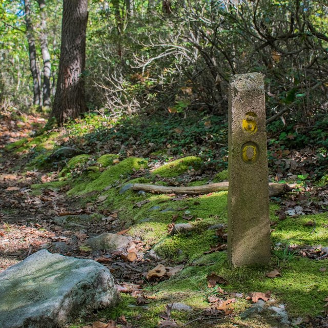 A leaf-covered hiking trailhead and mile marker