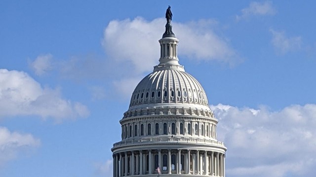 View of the dome of the United States Capitol