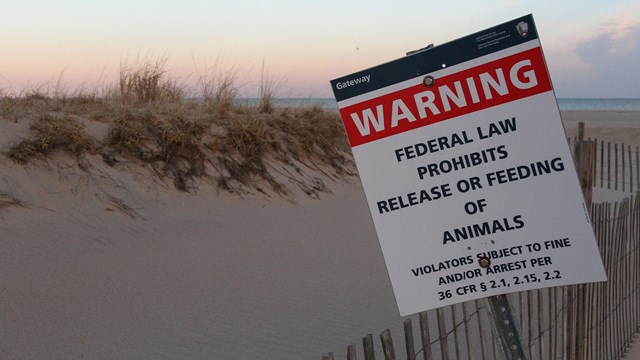 Warning sign prohibiting release or feeding of animals